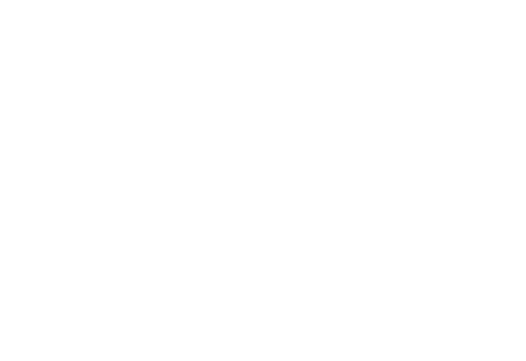 Selecta Collection